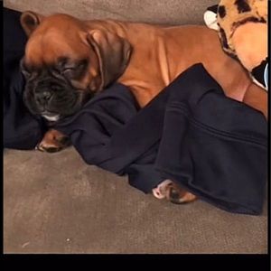 Meet your Posher, Aiden